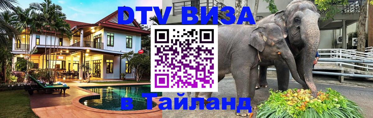 Сколько стоит DTV виза — актуальные цены, оформление даже без документов - 03.10.2025 